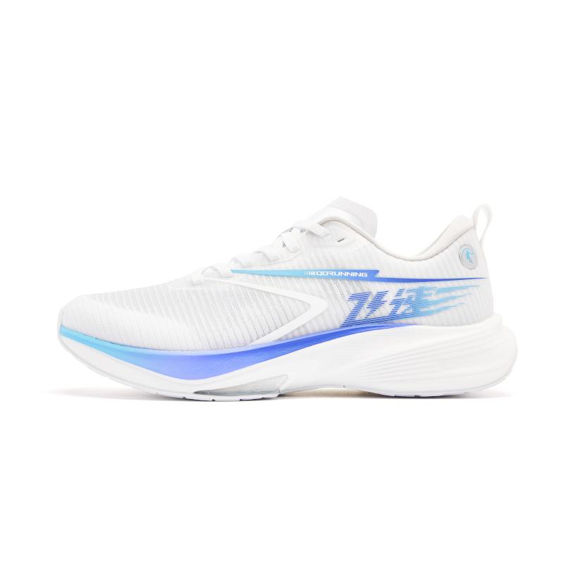 QIAODAN Feiying Herren Laufsch – Carbon Plate Marathon Racing Shoes Bewertung und Preis